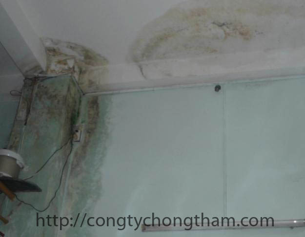 Tại sao cần dịch vụ chống thấm nhà ở ?